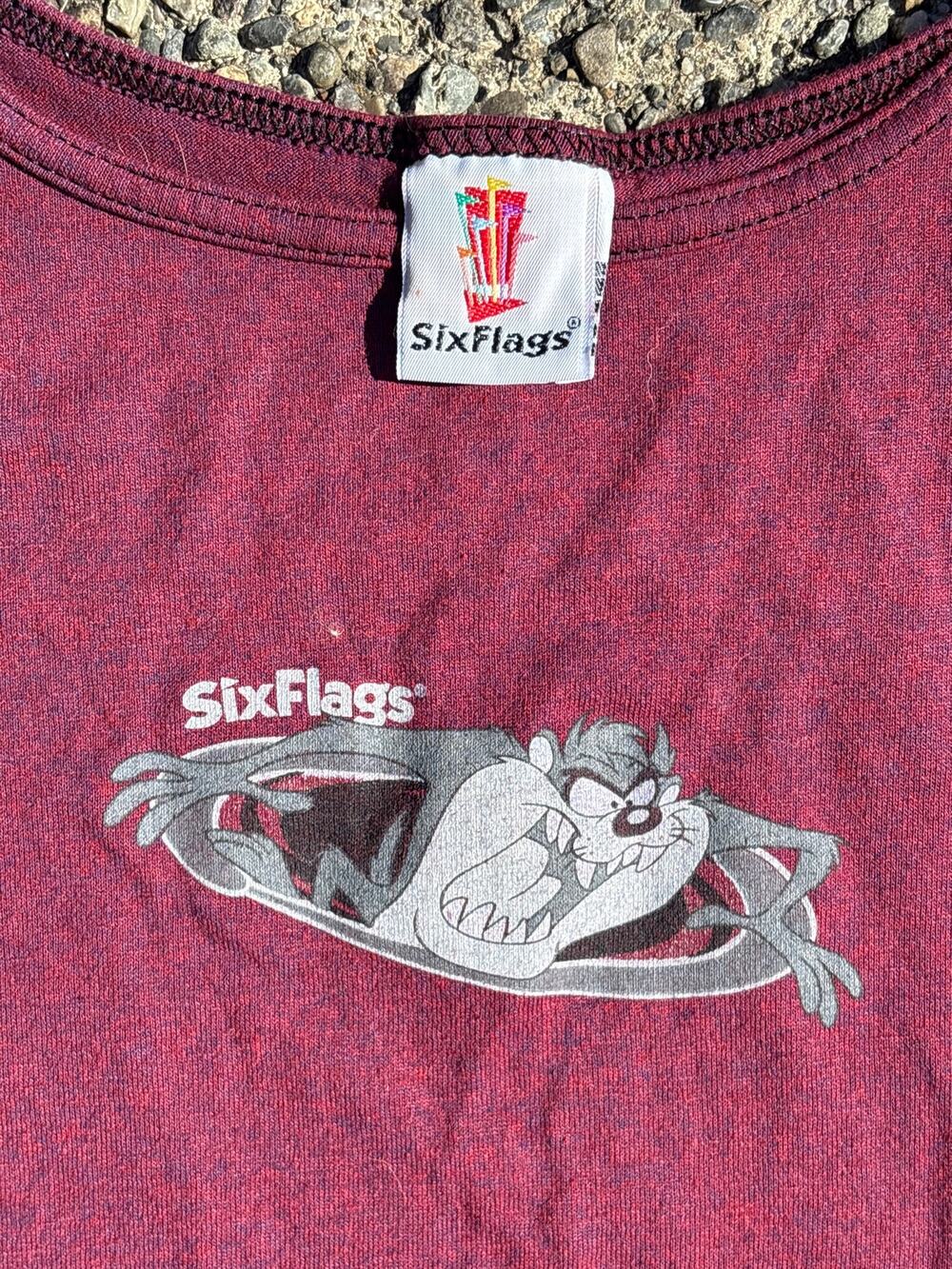 Vtg 1999 Six Flags Taz Warner Bros Looney Tunes Cartoon Burgundy tank XL USA y2K
